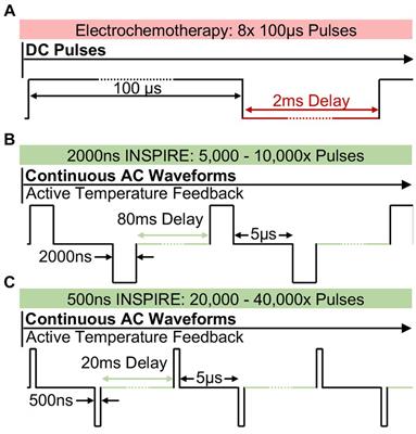 Investigation of integrated time nanosecond pulse irreversible electroporation against spontaneous equine melanoma